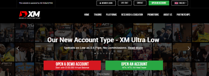 Xm forex account types