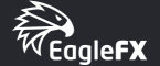 EagleFX Review: Essential Details