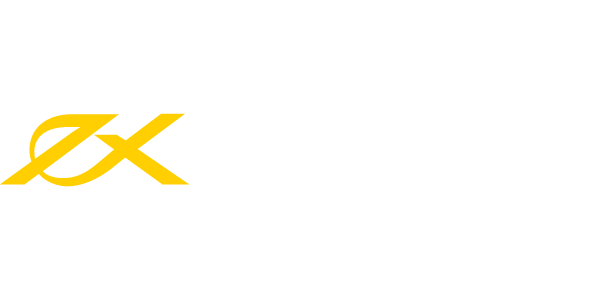 Exness general review